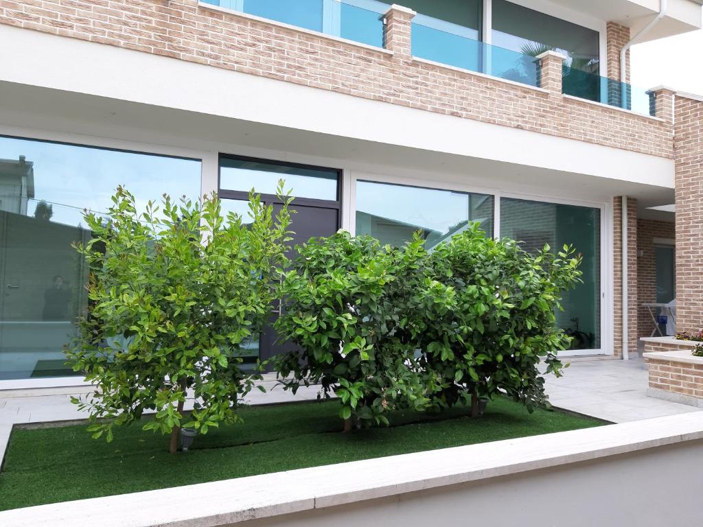 Vonkajšia záhrada v ubytovaní la casa dei limoni