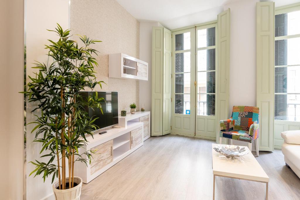 a living room with a tv and a plant at Homemalaga Constitución in Málaga