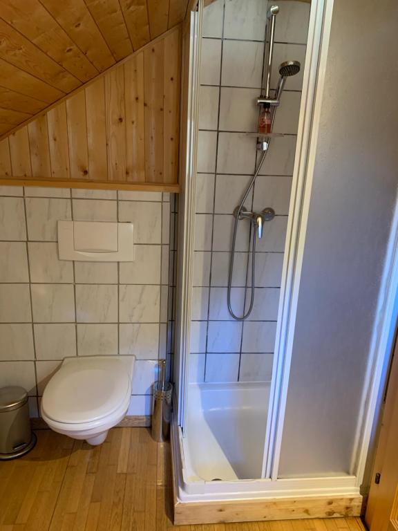 mała łazienka z toaletą i prysznicem w obiekcie Kleine Ahornau w Schladming
