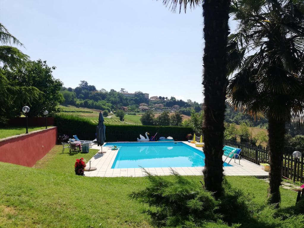 uma piscina num quintal com uma palmeira em La Bella Vite em Moncalvo