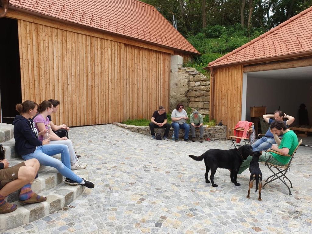 Domácí mazlíčci ubytovaní s hosty v ubytování Josefshof