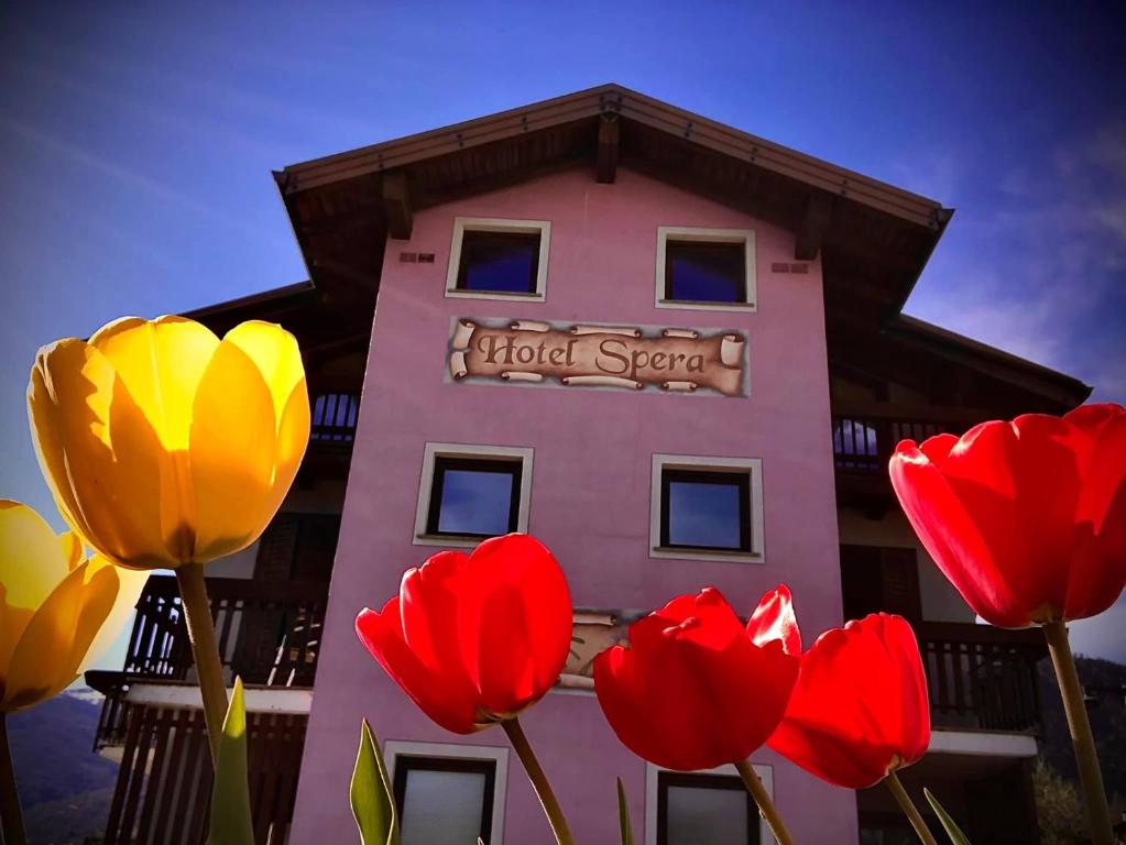 a building with red and yellow tulips in front of it at Hotel Spera in Strigno