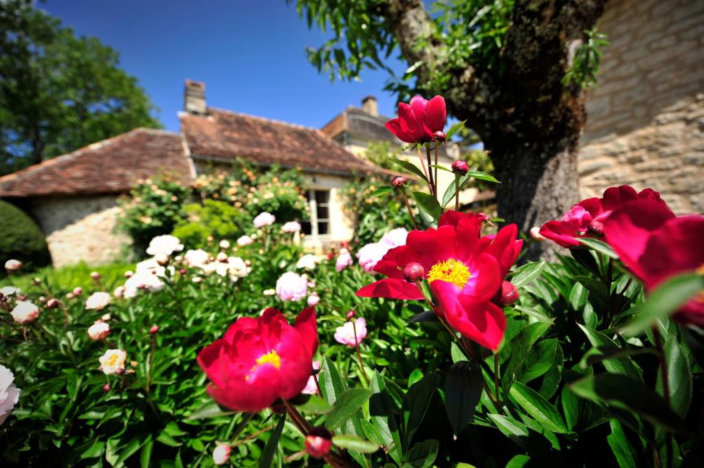 Gallery image of Manoir de Malagorse in Cuzance