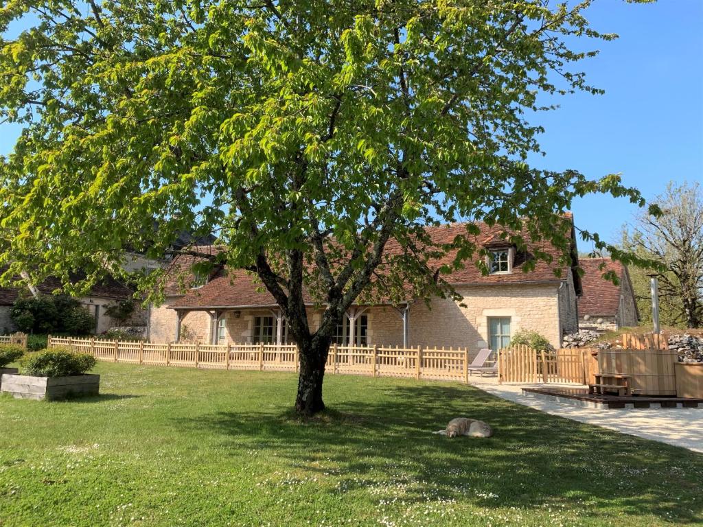 a tree in a yard in front of a house at Manoir de Malagorse in Cuzance