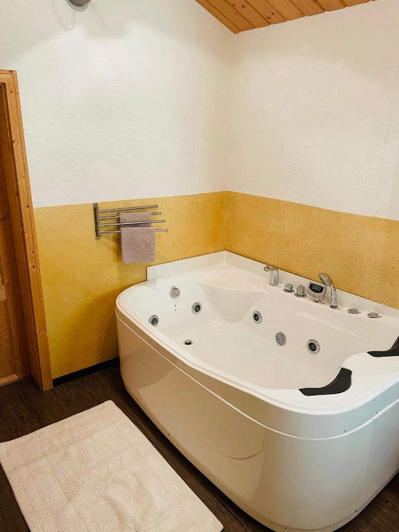 Fotografie z fotogalerie ubytování Uriges Alpen-Apartment Stefan Juen See
