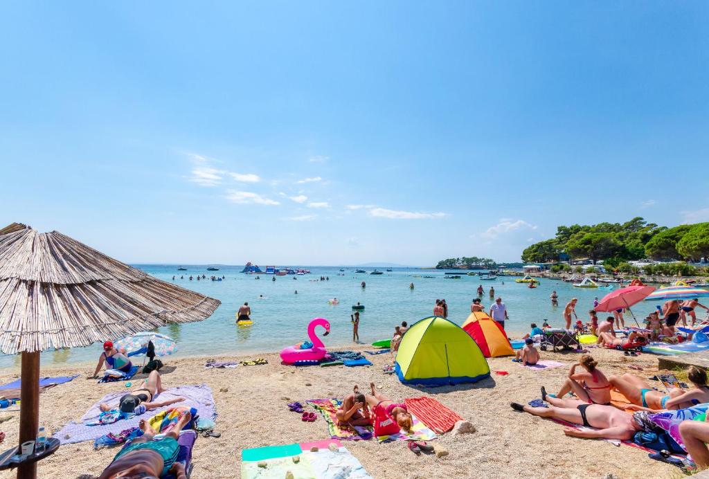 Příroda nedaleko apartmánu