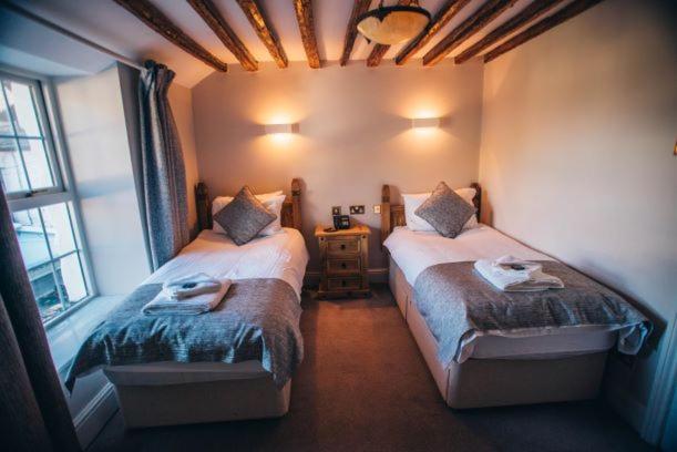 Tynycornel Hotel - Habitación Gemela Estándar Con Mountain View