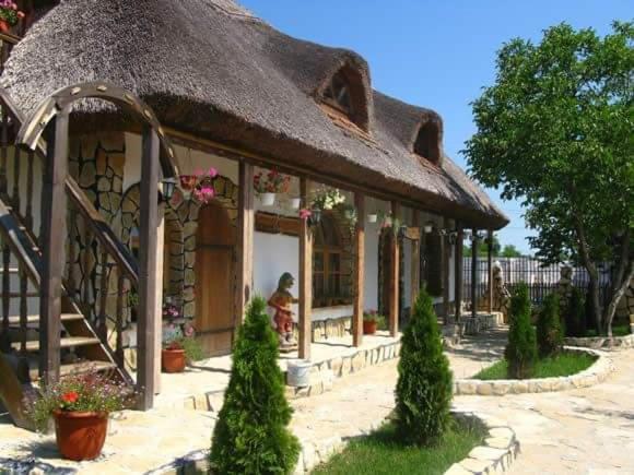 Gallery image of Casa cu flori Murighiol in Murighiol