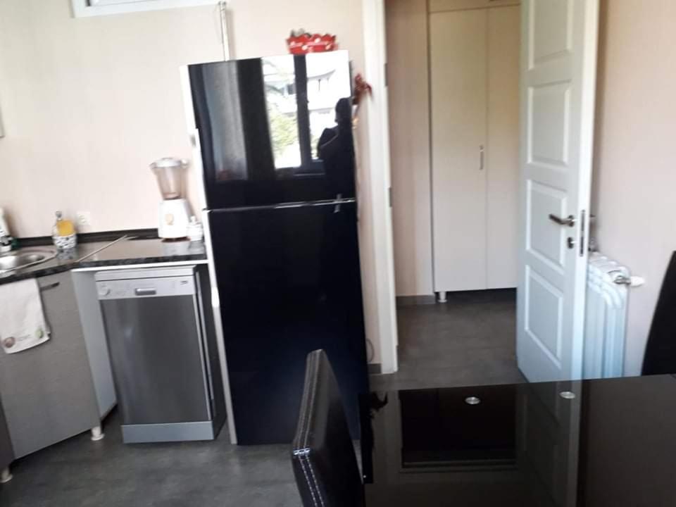 Kuchyň nebo kuchyňský kout v ubytování Guest House Kldiashvili