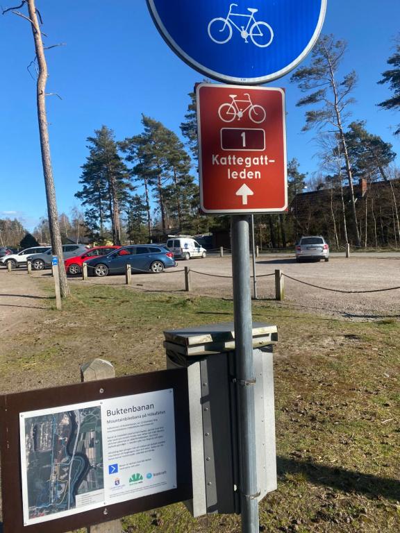 Jízda na kole v ubytování Mellbystrand Björkvägen Apartment nebo okolí