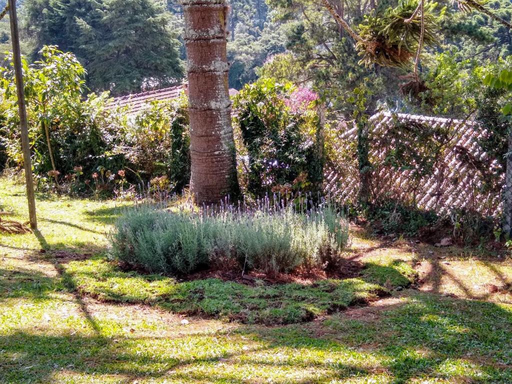  Linda casa em Campos