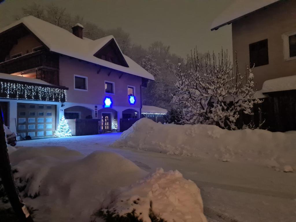 Apartmaji Mežan v zimě