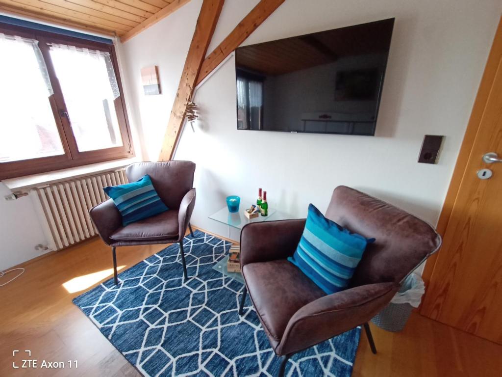 TV a/nebo společenská místnost v ubytování BodenSEE Privatzimmer "Haus am Weinberg Konstanz"