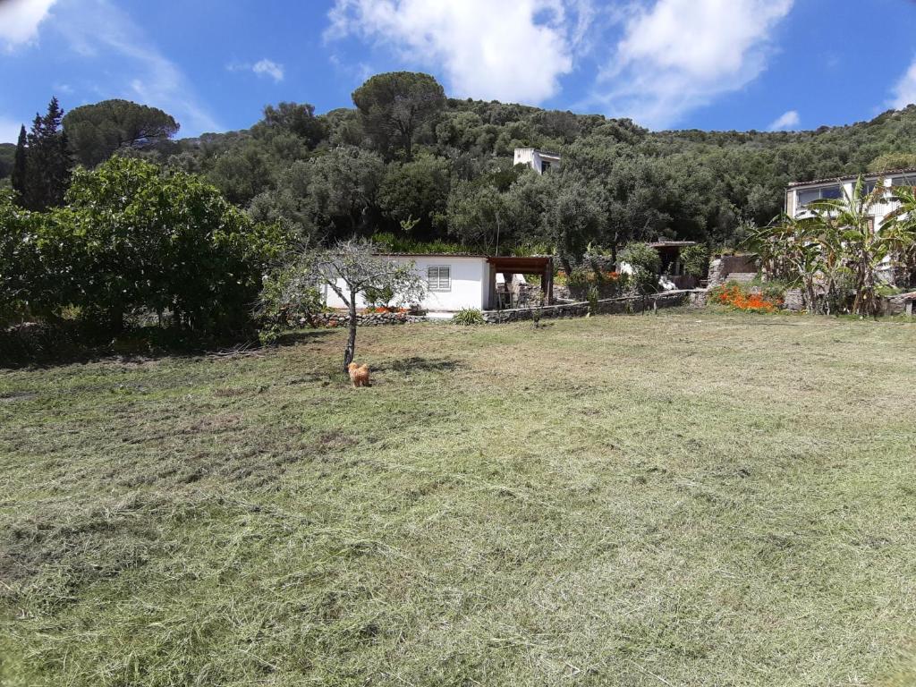 Garden House Q4527 a Carloforte - Splendida villa vista mare