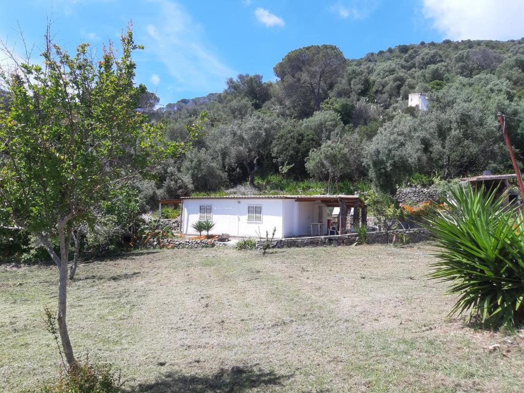Garden House Q4527 a Carloforte - Splendida villa vista mare