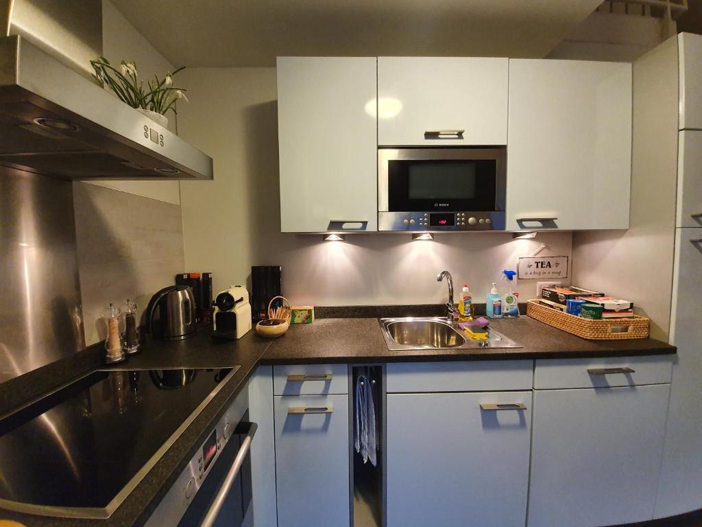 Kuchyň nebo kuchyňský kout v ubytování Luxuriöses Galerie-Penthouse direkt am Walensee
