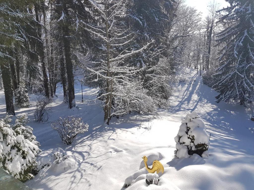 a toy duck in the snow in a forest at Villa Sawallisch in Grassau