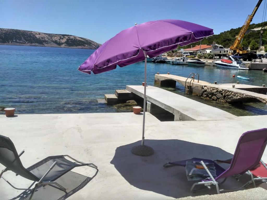 Příroda nedaleko apartmánu