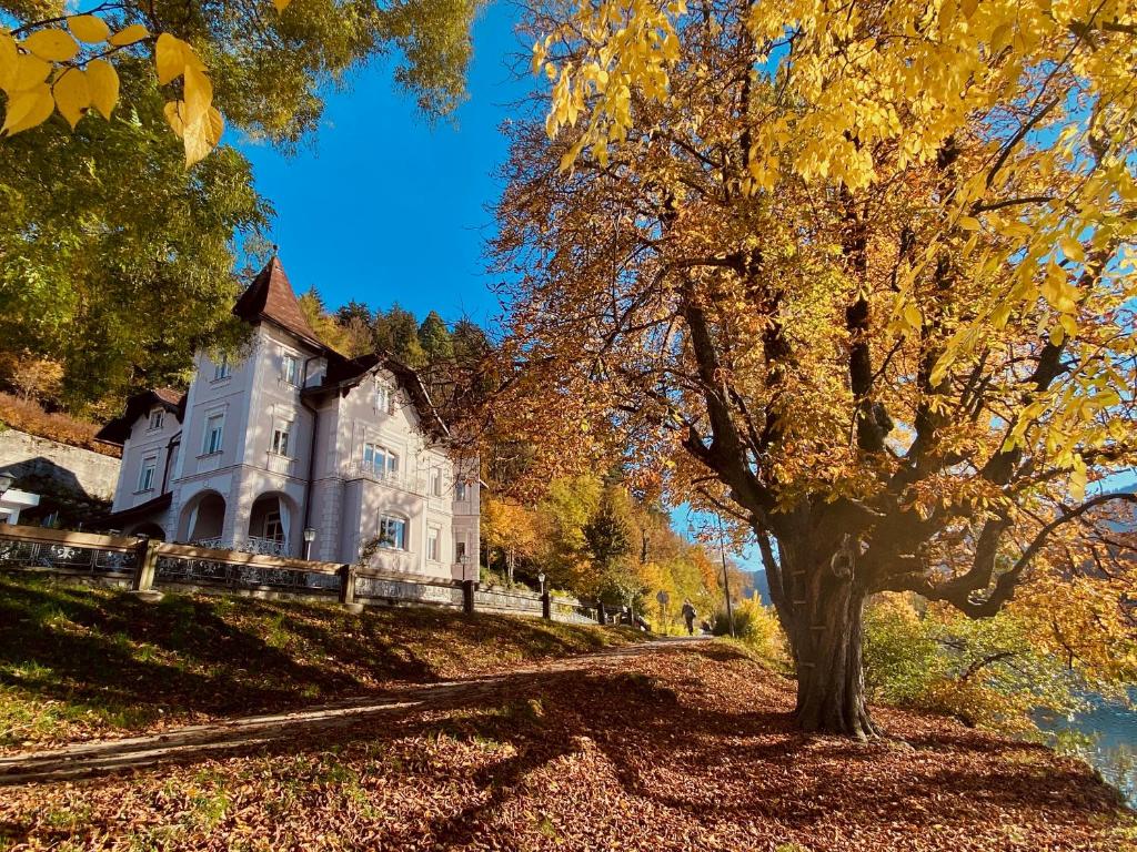Zahrada ubytování Adora Luxury Hotel