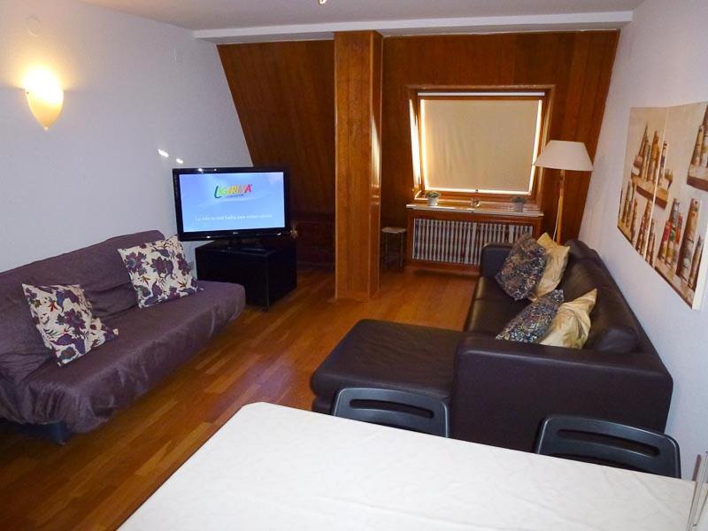 Inmobiliaria Formigal - admite mascotas, Formigal ...