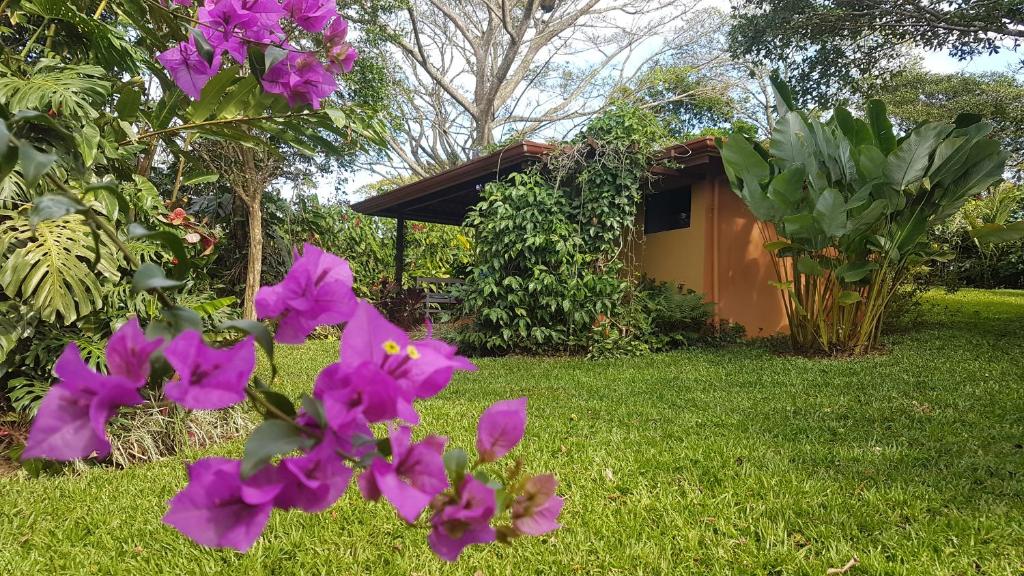 a lush green field with flowers in the middle of it at Tacacori EcoLodge in Alajuela