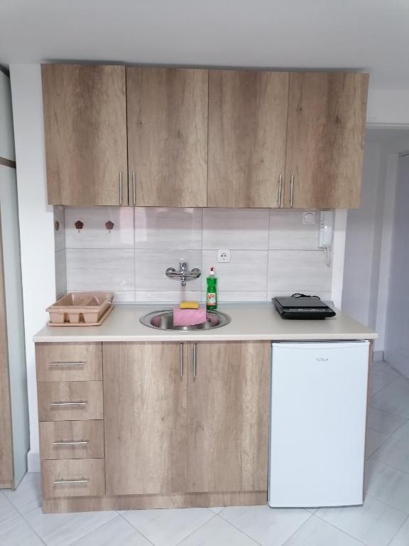 Kuhinja ili čajna kuhinja u objektu Apartman Radojković