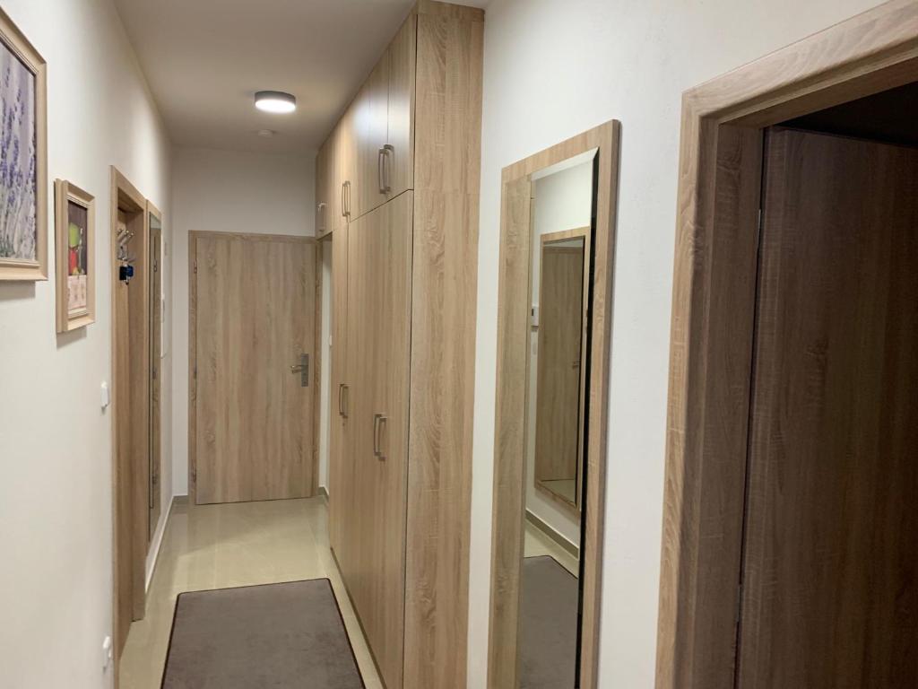 Fotografie z fotogalerie ubytování Apartment Rezidence - Javor & Wellness v destinaci Železná Ruda