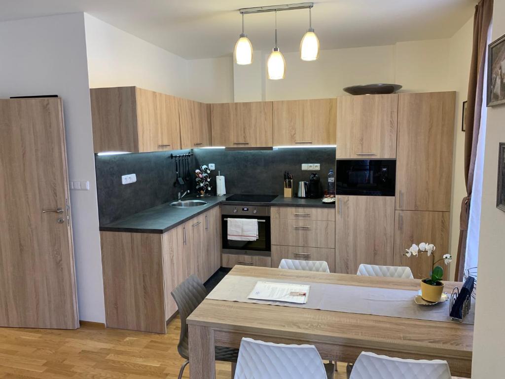 Kuchyň nebo kuchyňský kout v ubytování Apartment Rezidence - Javor & Wellness