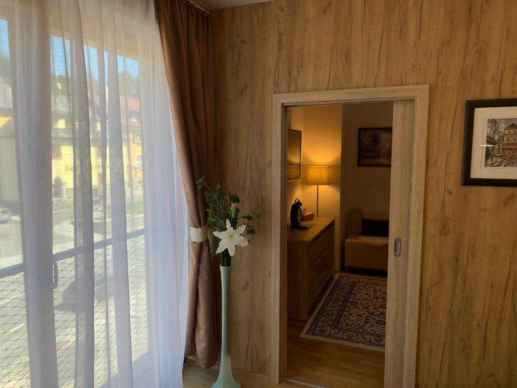 Fotografie z fotogalerie ubytování Apartment Rezidence - Javor & Wellness v destinaci Železná Ruda
