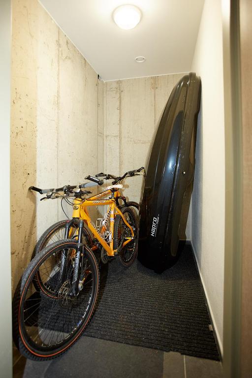 Jízda na kole v ubytování Apartment Rezidence - Javor & Wellness nebo okolí