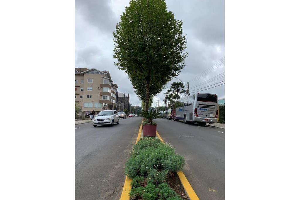  Novo 1D - Catedral Canela