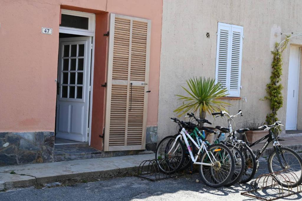 un gruppo di biciclette parcheggiate di fronte a un edificio di L'Arche de Porquerolles a Porquerolles