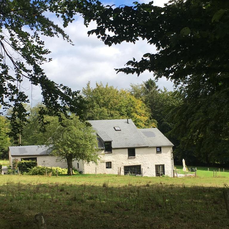 a white house with a tree in a field at La Gotale - Maison de vacances in Manhay