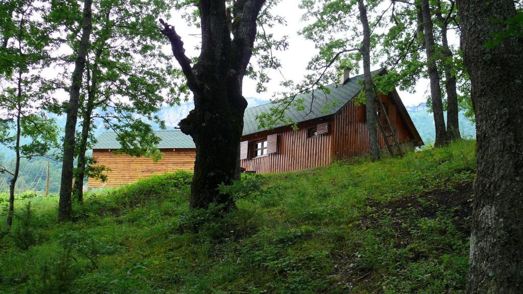 Příroda nedaleko penzionu