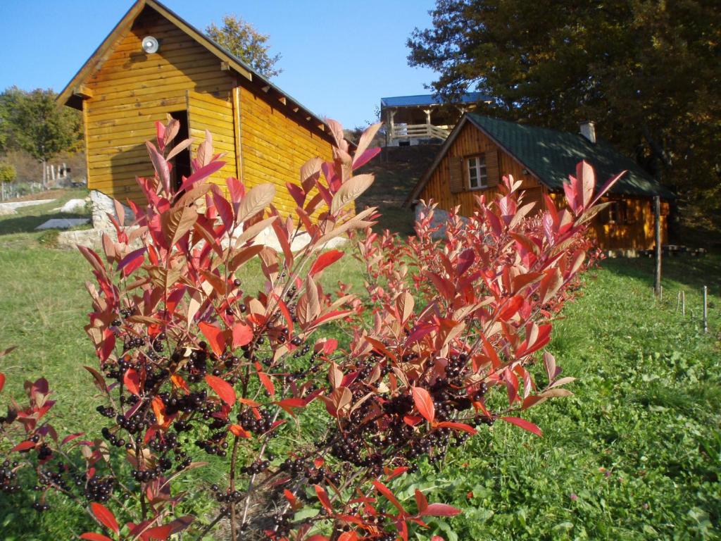 Zahrada ubytování Guest House Tara Canyon