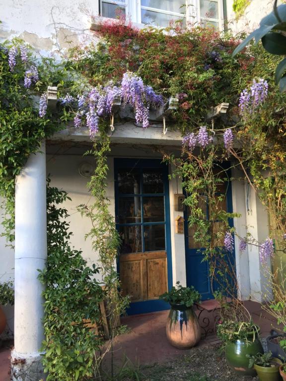 una casa con una porta blu con dei fiori sopra di les camélias a Mazamet