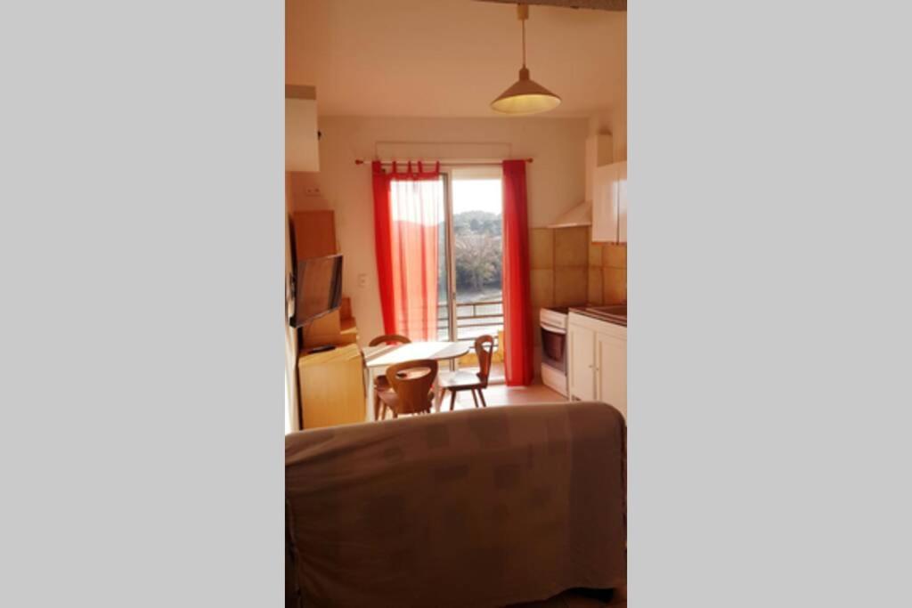 Roquebrun的住宿－Joli Appartement, terrasse plein sud，一间厨房,内设桌子和窗户