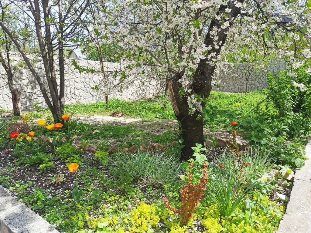 Zahrada ubytování Jermatun Guest House