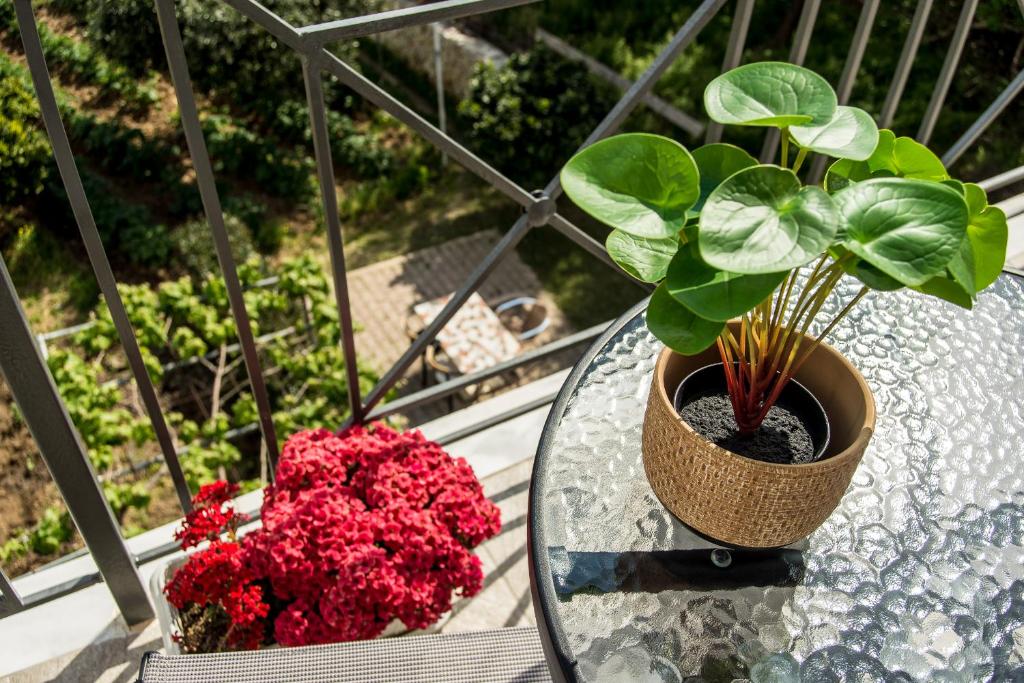 Balkón nebo terasa v ubytování Aella Apartment