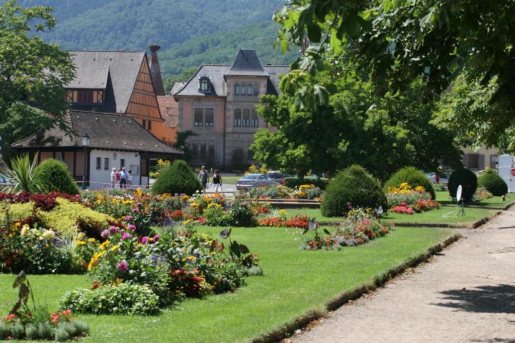 Domaine Jean Sipp – photo 6