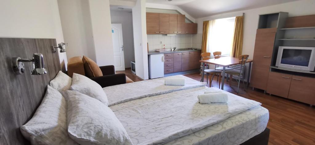 Kuchyň nebo kuchyňský kout v ubytování Apartments Banjica