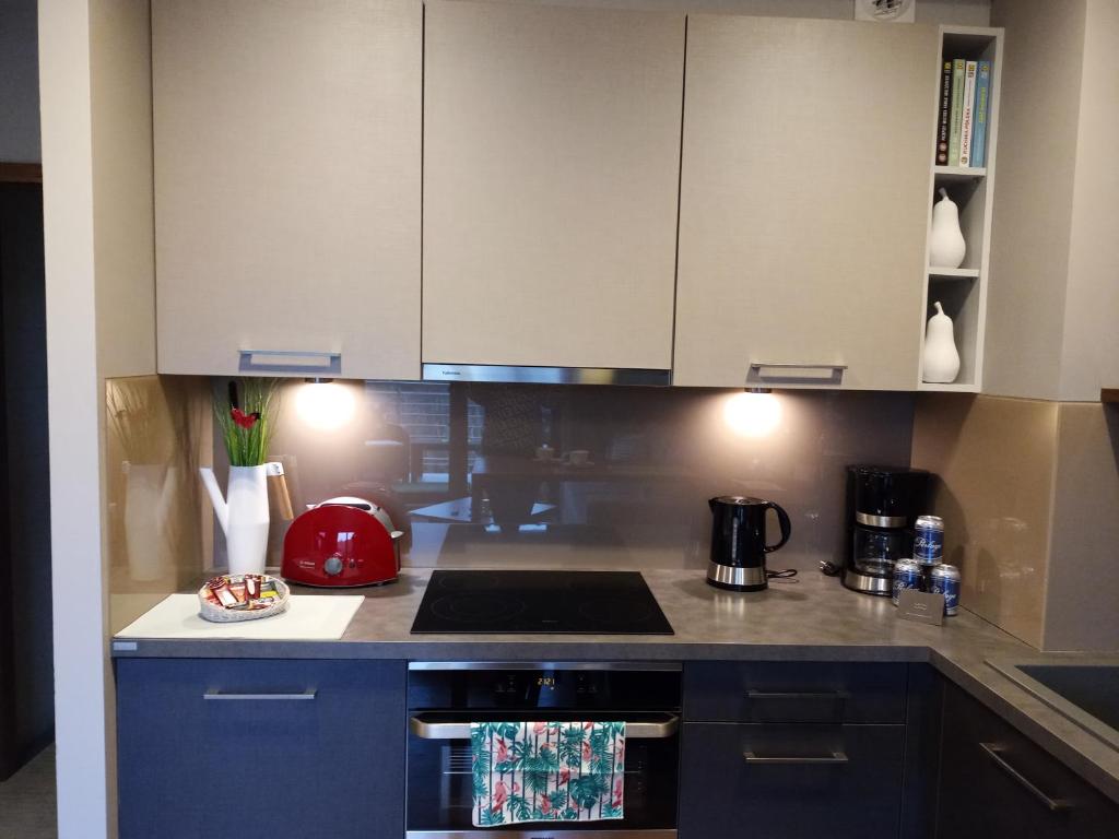 Kuchyňa alebo kuchynka v ubytovaní Apartament z widokiem na morze