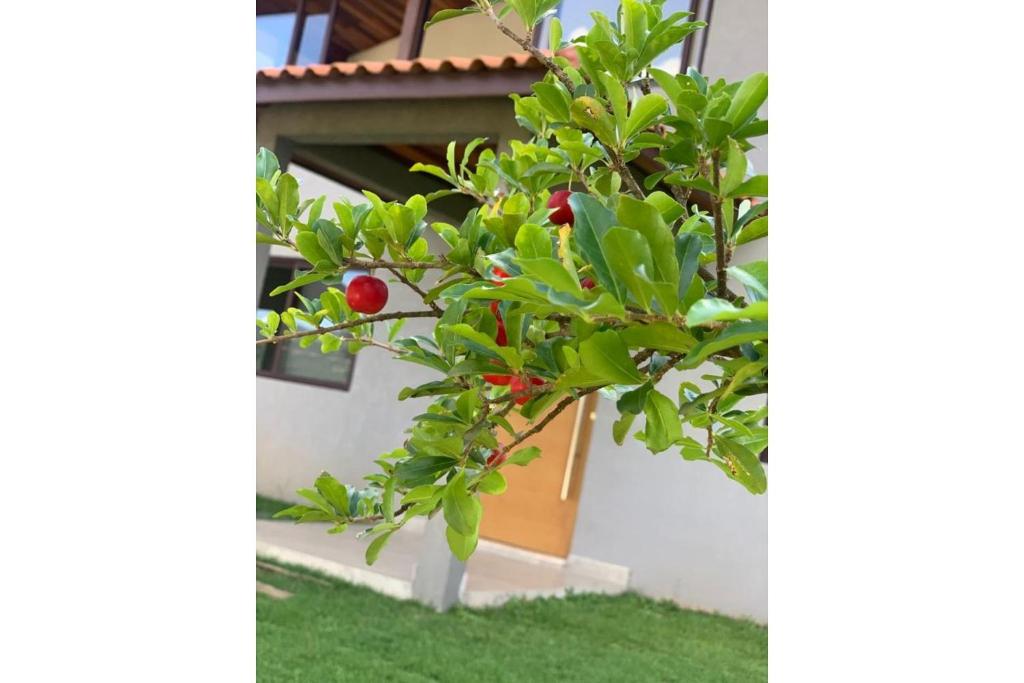  Casa com Elevado Padrão em Atibaia - Comodidade e Segurança