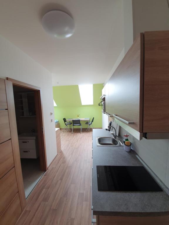 Penzion Amalka Dobříkov - Suite De Una Habitación