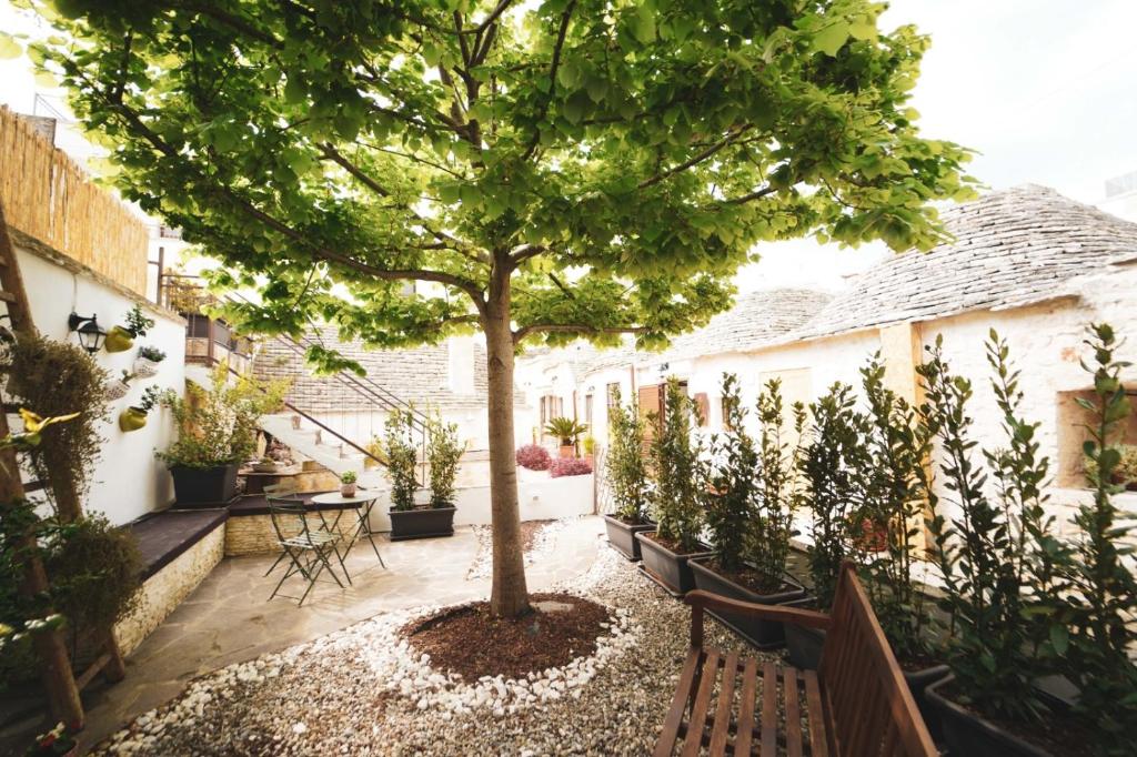 Trullo Syrah-Trulli Antì Charme & Relax - 19