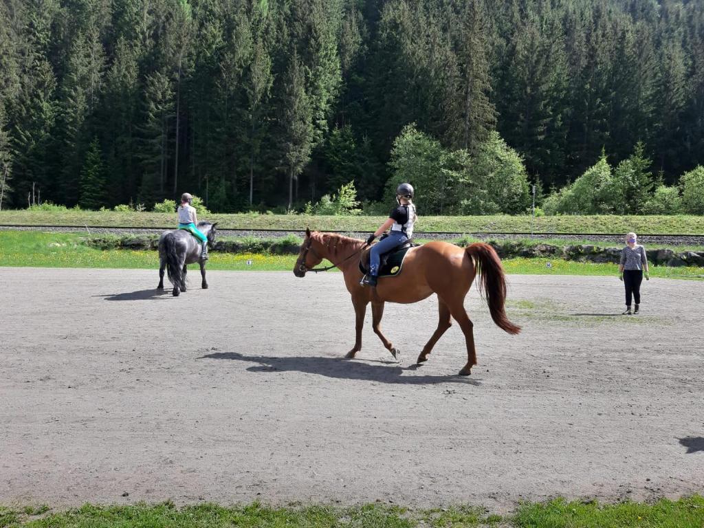 Fotografia z galérie ubytovania Aparthotel Pinzgau v destinácii Neukirchen am Großvenediger