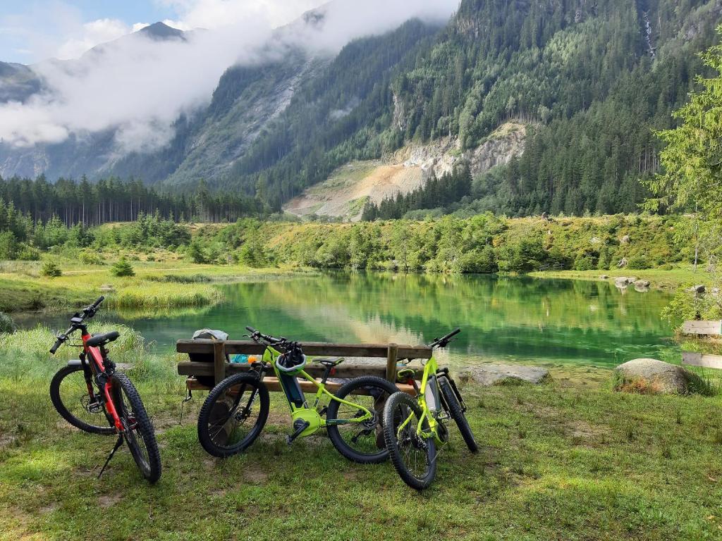 Fotografia z galérie ubytovania Aparthotel Pinzgau v destinácii Neukirchen am Großvenediger