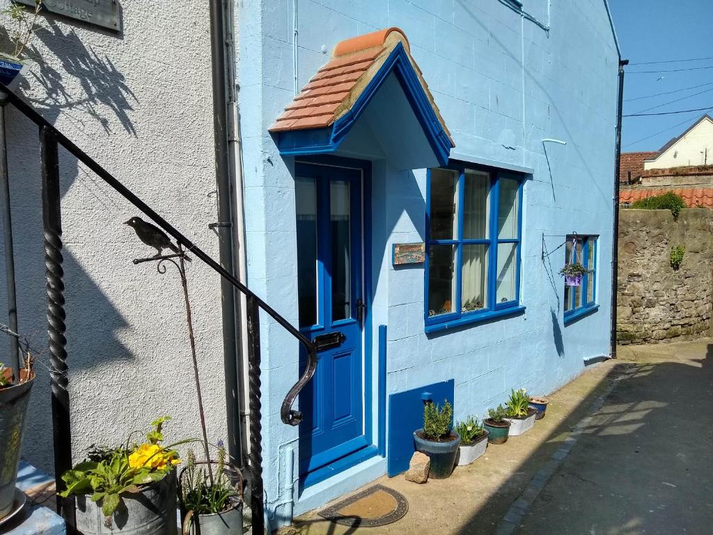 a blue house with a blue door with plants at Bramla in Staithes