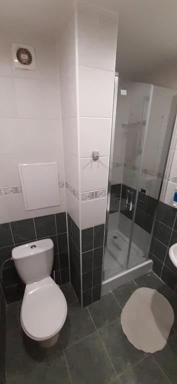 Koupelna v ubytování Hotel Felicia