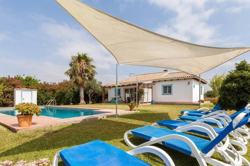 un grupo de tumbonas sentadas en el césped junto a una piscina en Chalet Piscina Roche, en Cádiz